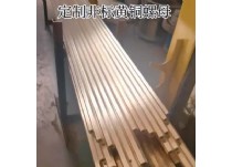 定制非標(biāo)螺母